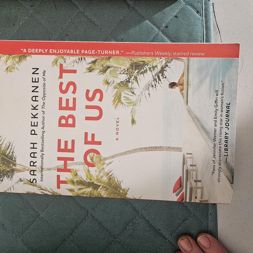 The Best of Us by Sarah Pekkanen